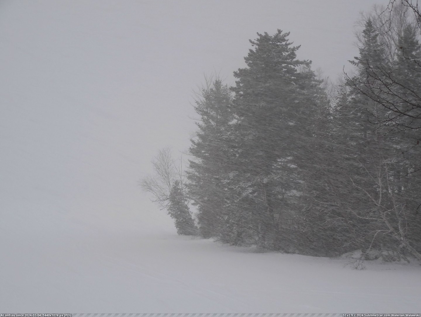 #Canada #Snowfall #Brunswick #Heavy [Earthporn] Heavy snowfall in New Brunswick, Canada [OC] [4068x3456] Pic. (Image of album My r/EARTHPORN favs))