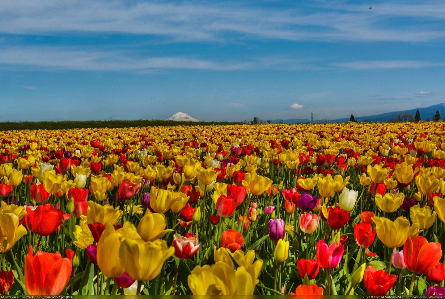 #Oregon  #Spring [Earthporn] It's Spring in Oregon  [5751x3837] Pic. (Bild von album My r/EARTHPORN favs))