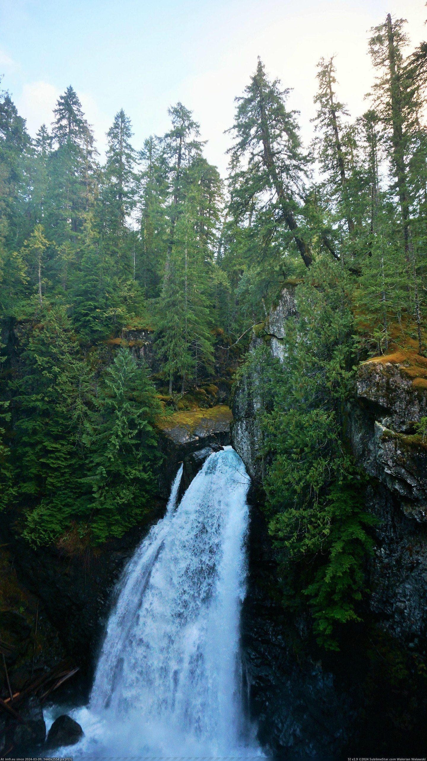 #Island #Canada #Vancouver #Falls #Lady [Earthporn] Lady Falls, Vancouver Island - Canada [2070x3684] [OC] Pic. (Obraz z album My r/EARTHPORN favs))