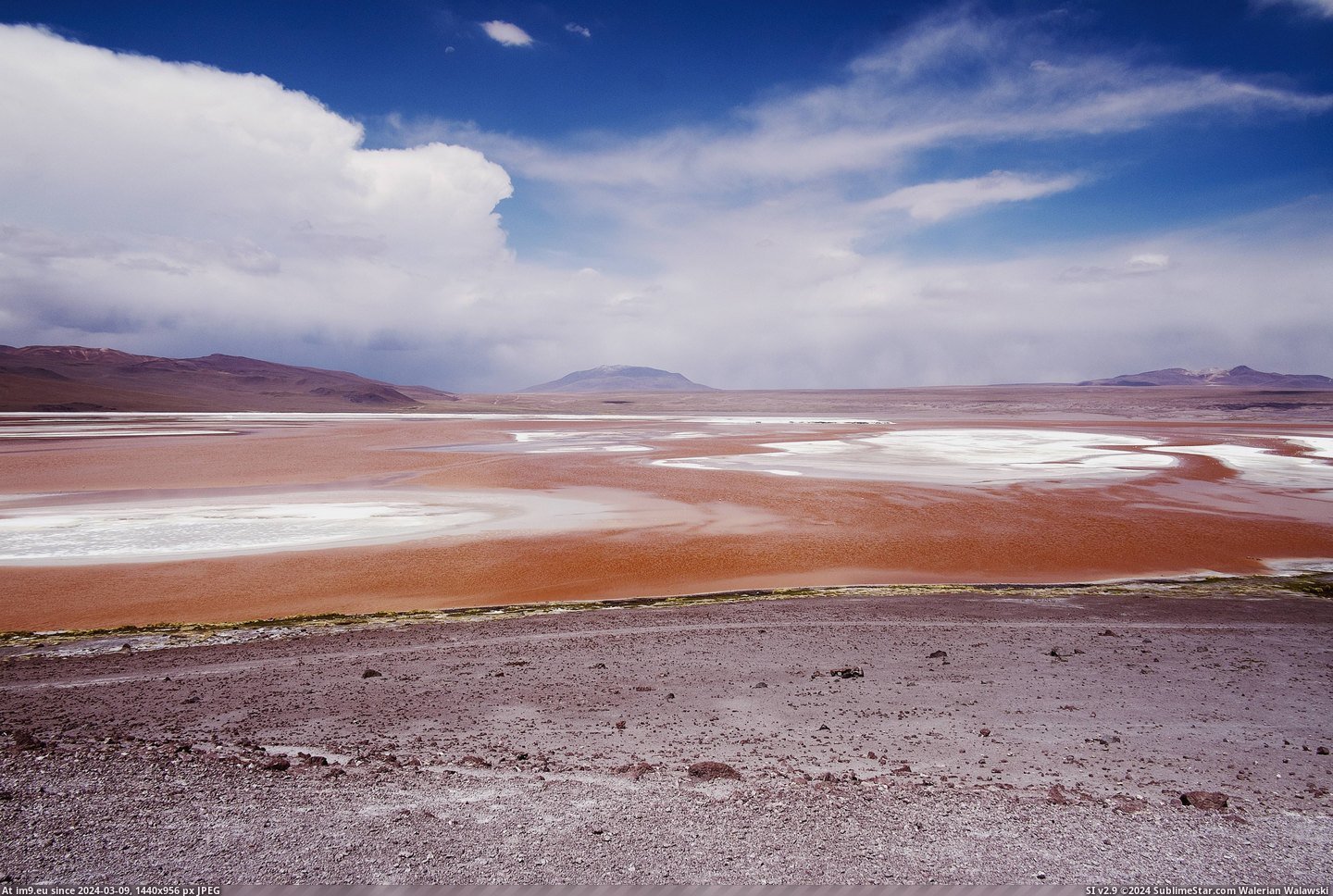 #South #Lago #Bolivia #Colorado [Earthporn]  Lago Colorado at 4300 MSL, South Bolivia (4896x3264) Pic. (Изображение из альбом My r/EARTHPORN favs))