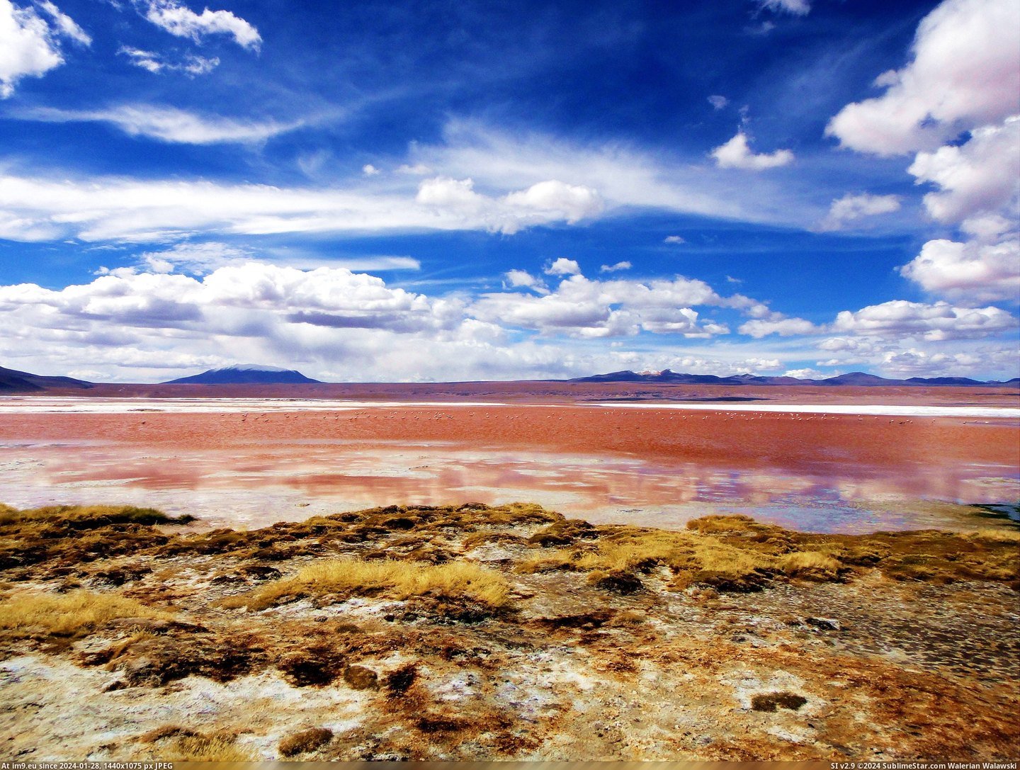 #Red #South #Aka #3648x2736 #Bolivia #Laguna #Colorada #Western #Travel #Lagoon [Earthporn] Laguna Colorada AKA the Red Lagoon in South Western Bolivia [OC], travel, [3648x2736] Pic. (Bild von album My r/EARTHPORN favs))