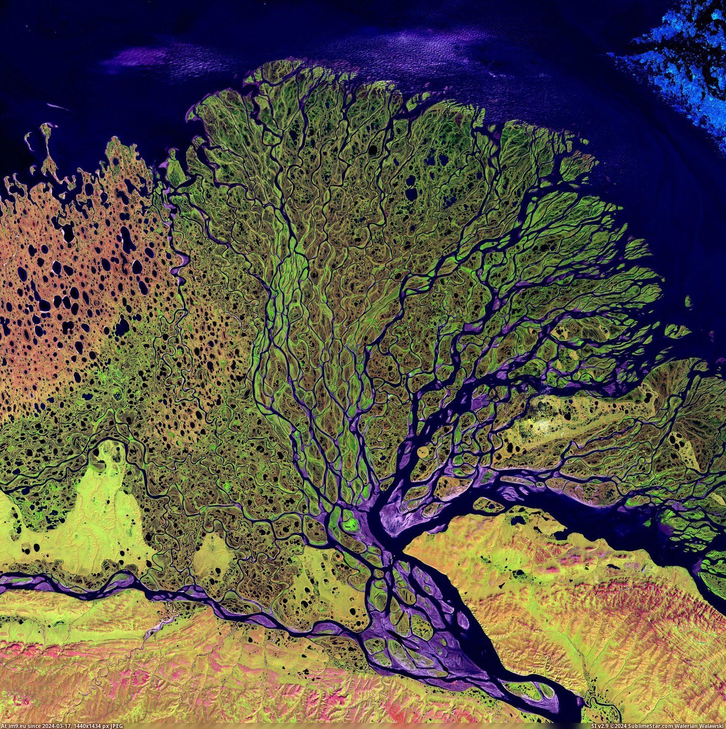 #River #Delta #Siberia #Lena [Earthporn] Lena River Delta, Siberia [3100 x 3100] Pic. (Obraz z album My r/EARTHPORN favs))