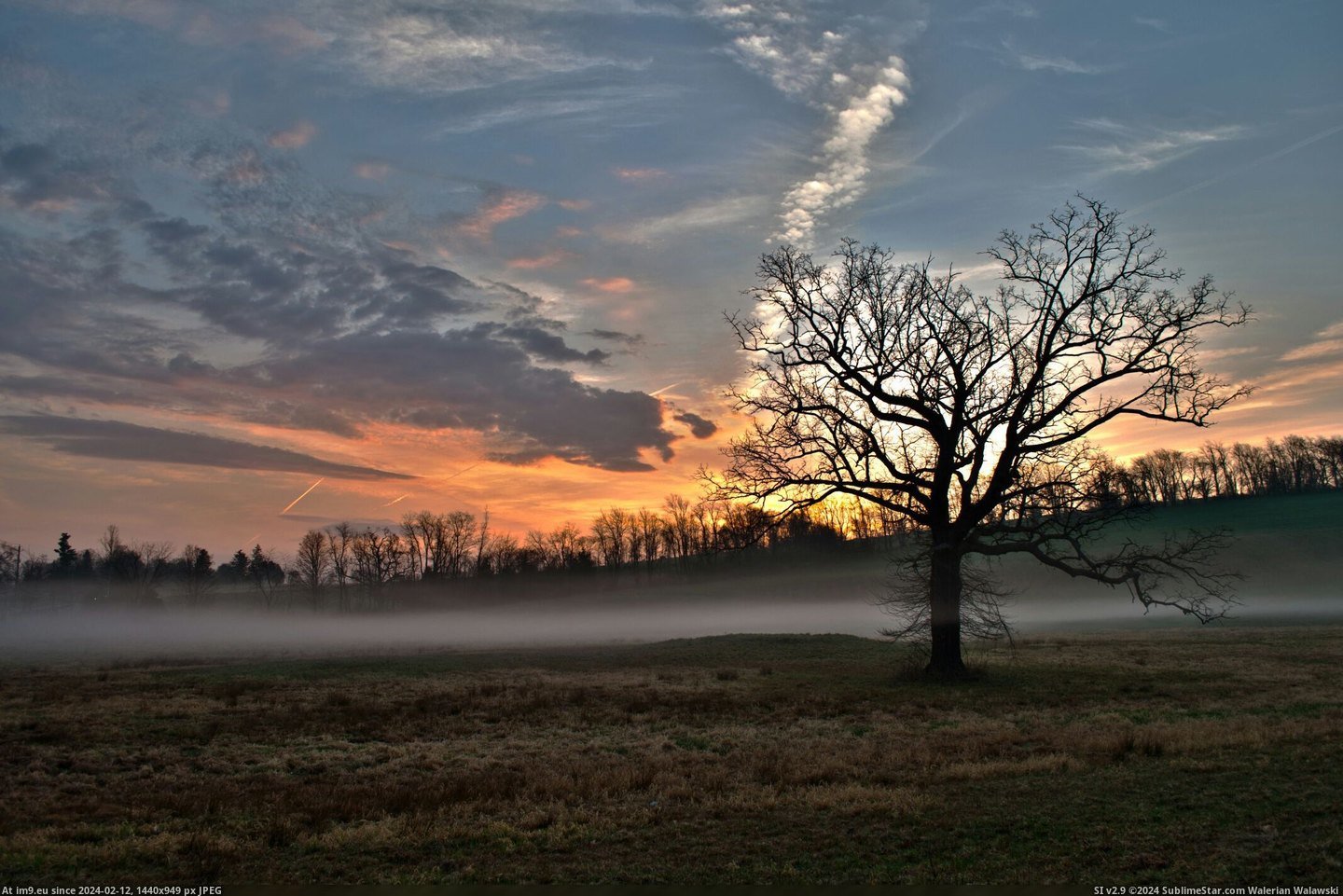 #Photo #Tree #Adam #Orchard #Sunrise #Lone [Earthporn] Lone tree at sunrise. Och's Orchard, Warwick NY. (4269x2837) Photo by Adam DeVuyst Pic. (Obraz z album My r/EARTHPORN favs))