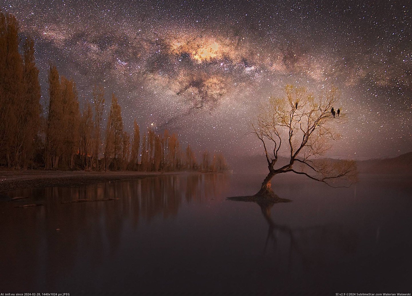#Way #Tree #Lone #Wanaka #Zealand #Milky [Earthporn] Lone tree under the Milky Way in Wanaka, New Zealand [1468X2048] Pic. (Image of album My r/EARTHPORN favs))