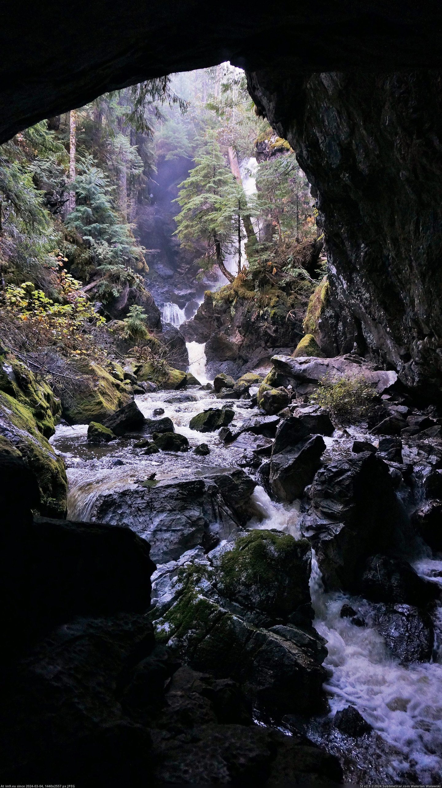 #River #Canada #Entrance #Upana #Gold #Cave [Earthporn] Looking out of the entrance to Upana Cave - Gold River, BC, Canada (OC)(2760x4912) Pic. (Изображение из альбом My r/EARTHPORN favs))