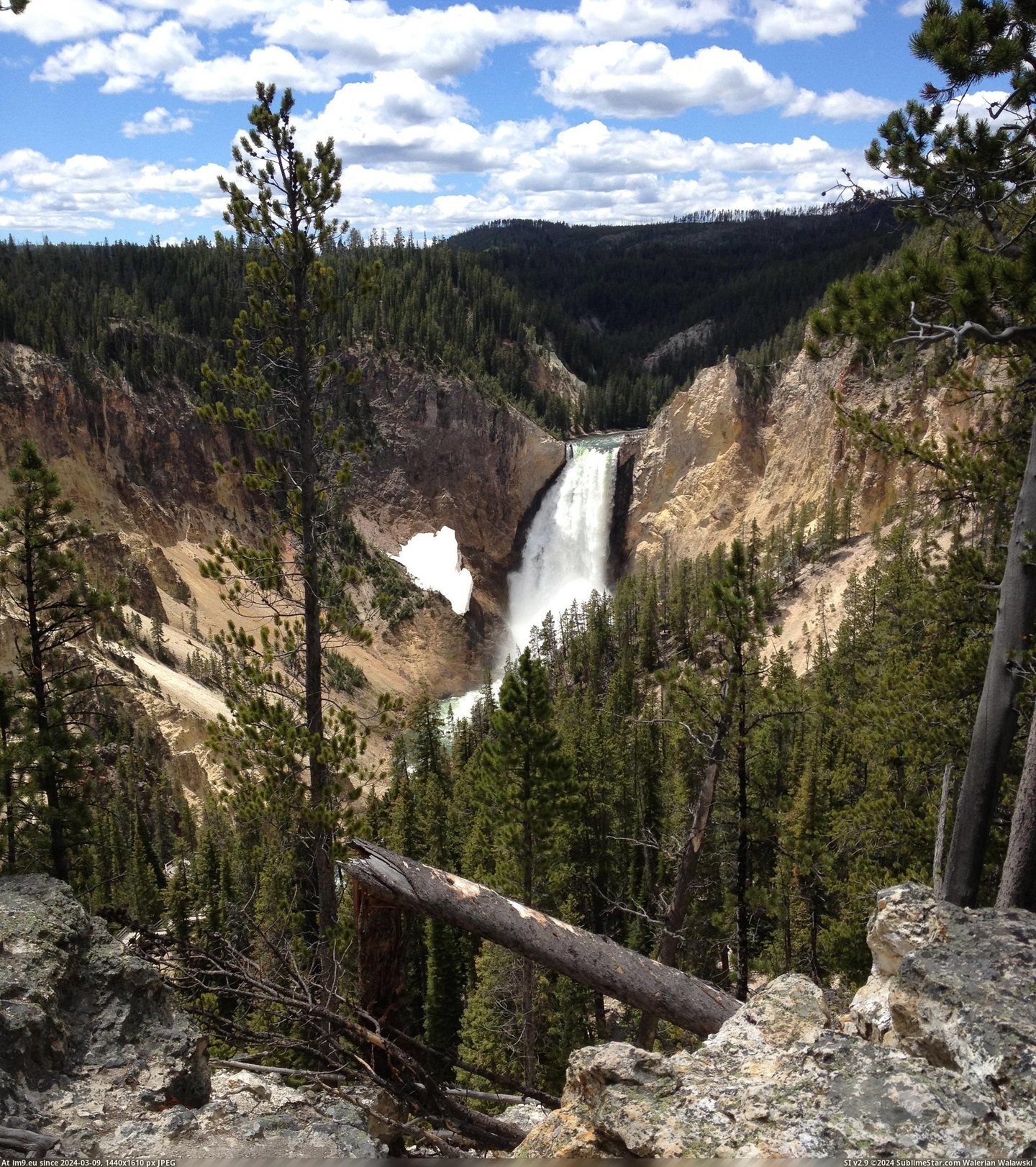 #Park #Falls #Yellowstone #National [Earthporn] Lower Falls of Yellowstone National Park, WY [2448x2749] [OC] Pic. (Image of album My r/EARTHPORN favs))