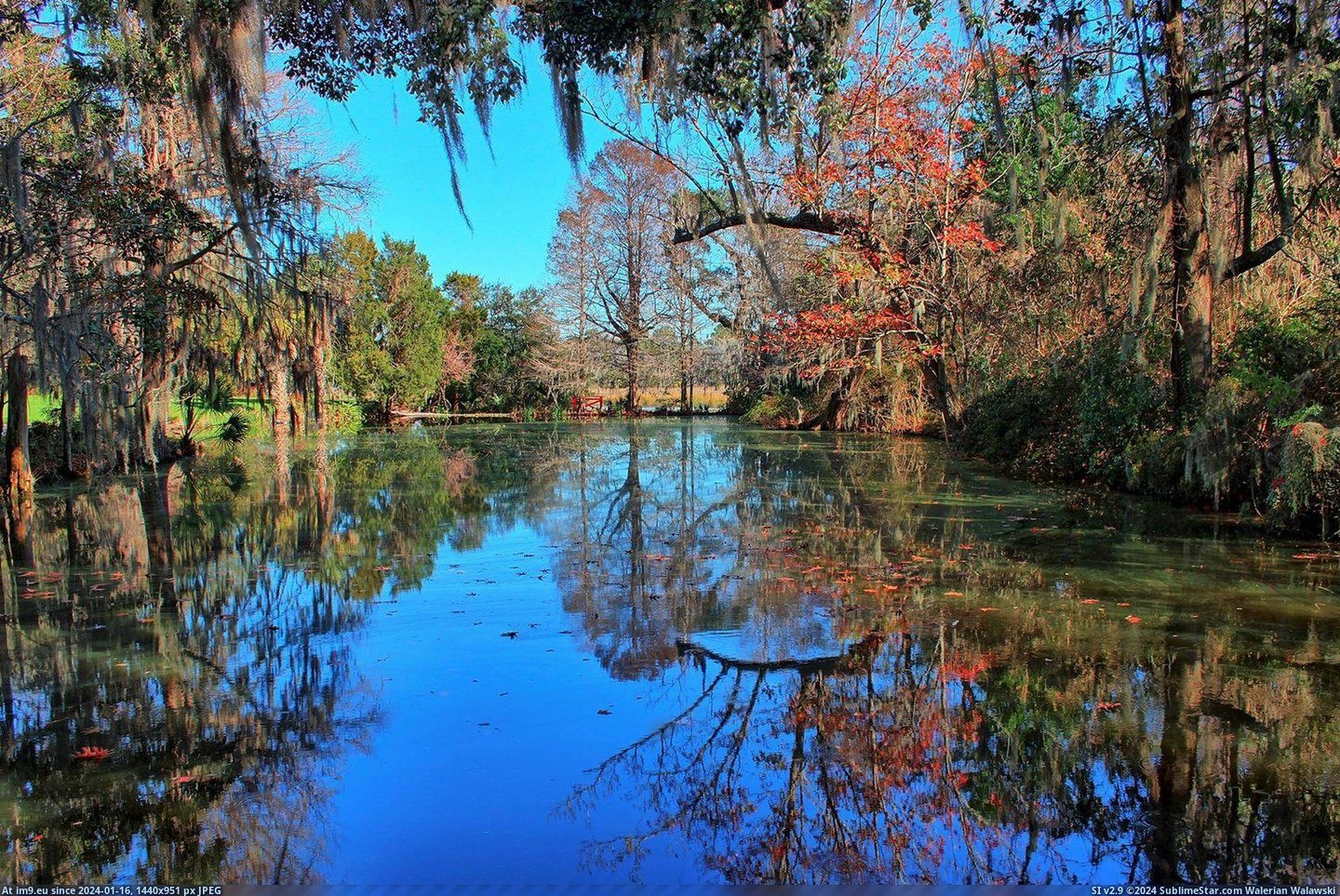 #Gardens #Charleston #Plantation [Earthporn] Magnolia Plantation and Gardens, Charleston, SC [2072x1381] [OC] Pic. (Bild von album My r/EARTHPORN favs))