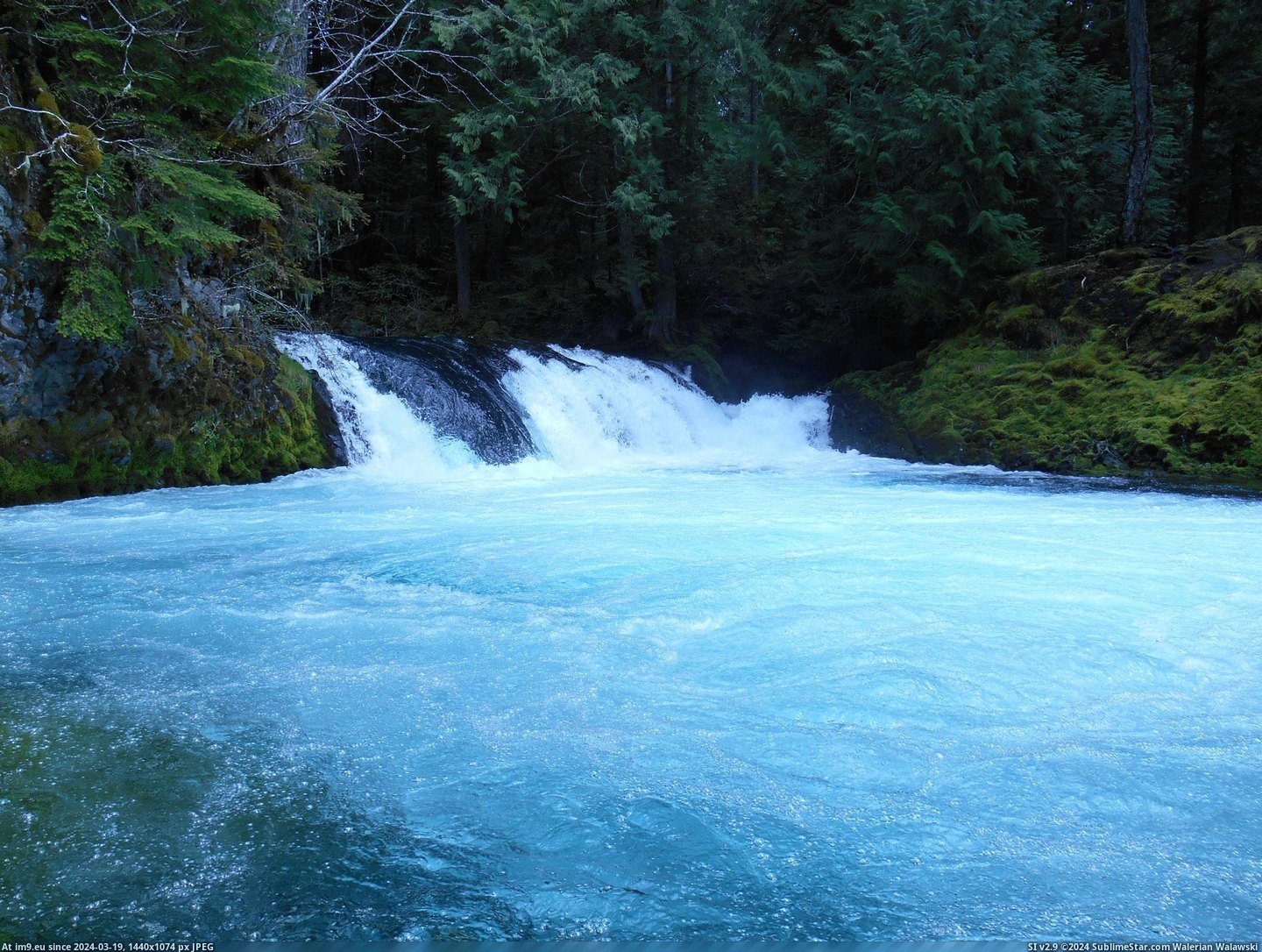 #River  #Oregon [Earthporn] McKenzie River, Oregon [3091x2318] Pic. (Image of album My r/EARTHPORN favs))