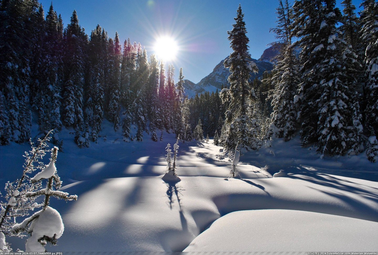 #Day #Canada #Winter #Mid #3872x2592 #Kananaskis #Country #Dead #Sun [Earthporn] Mid- day sun in the dead of winter - Kananaskis Country, AB (Canada) - [3872x2592] Pic. (Изображение из альбом My r/EARTHPORN favs))