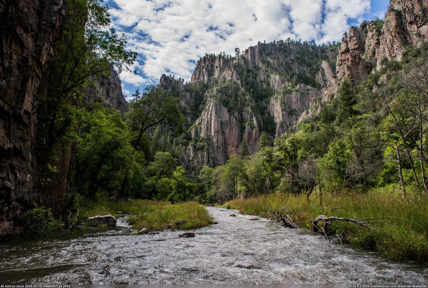 #River #Wilderness #Fork #6000x4000 [Earthporn] Middle Fork of The Gila River in The Gila Wilderness, NM [6000x4000] Pic. (Obraz z album My r/EARTHPORN favs))