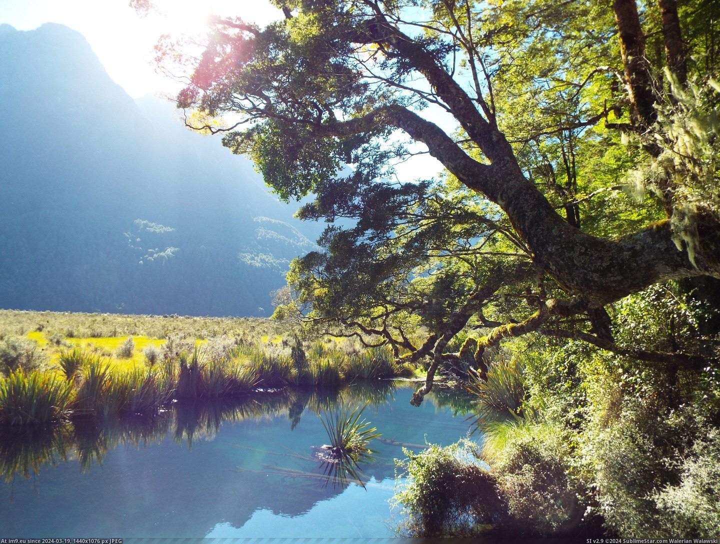 #Mirror #Zealand #4608x3456 #Lake [Earthporn] Mirror Lake, New Zealand  [4608x3456] Pic. (Bild von album My r/EARTHPORN favs))