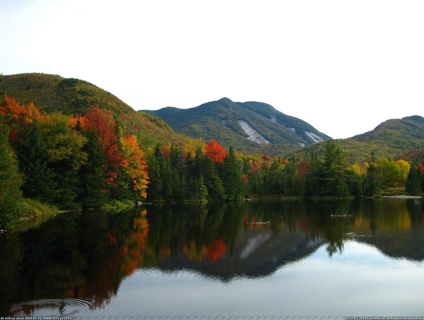 #Fall #3648x2736 #Colden #Marcy #Dam #Adirondacks [Earthporn] Mt Colden from Marcy Dam in Fall, Adirondacks NY (3648x2736) Pic. (Image of album My r/EARTHPORN favs))
