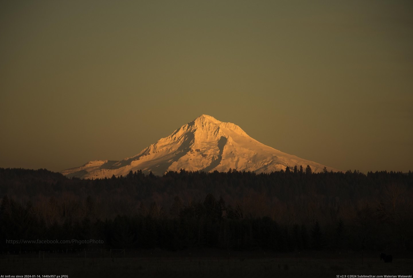 #Oregon #5472x3648 #Hood [Earthporn] Mt. Hood Oregon.  [5472x3648] Pic. (Image of album My r/EARTHPORN favs))