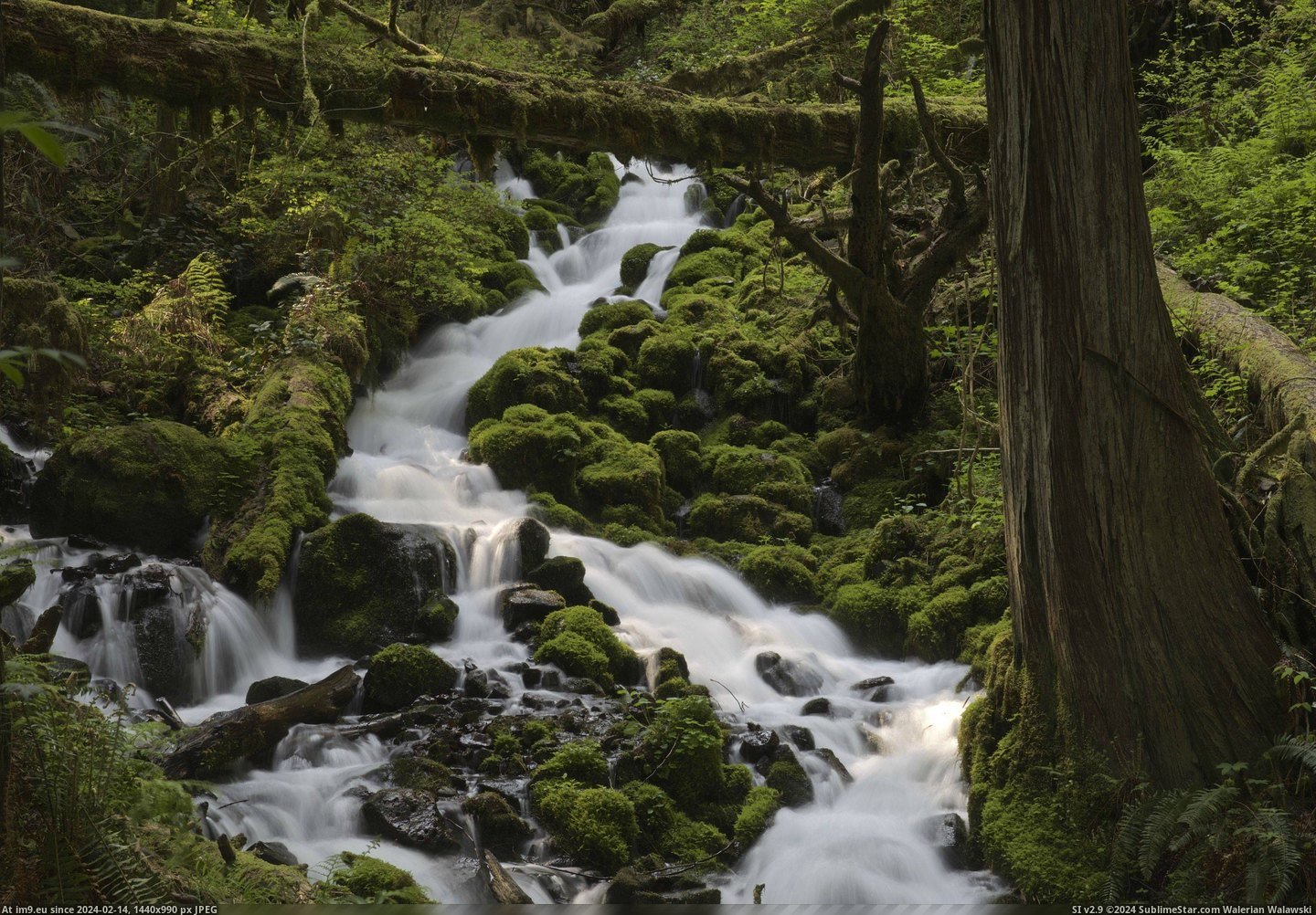 #River #Oregon #Gorge #Multnomah #Creek #Columbia [Earthporn] Multnomah Creek, Columbia River Gorge, Oregon  [4957x3429] Pic. (Image of album My r/EARTHPORN favs))