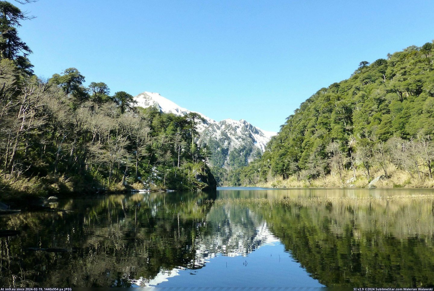 #Park #National #Pucon #Chile #Huerquehue [Earthporn] National Park Huerquehue, Pucon, Chile [2916 x 1944][OC] Pic. (Bild von album My r/EARTHPORN favs))