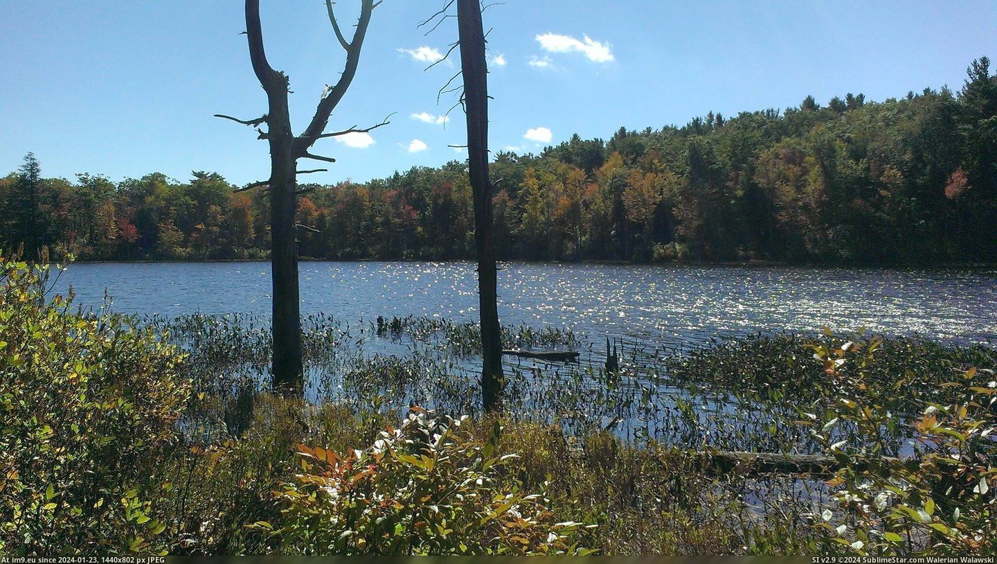 #Fall #Pond #Muddy #Massachusetts #Kingston [Earthporn]  (Not So) Muddy Pond, Kingston, Massachusetts during the fall [2592x1456] Pic. (Bild von album My r/EARTHPORN favs))
