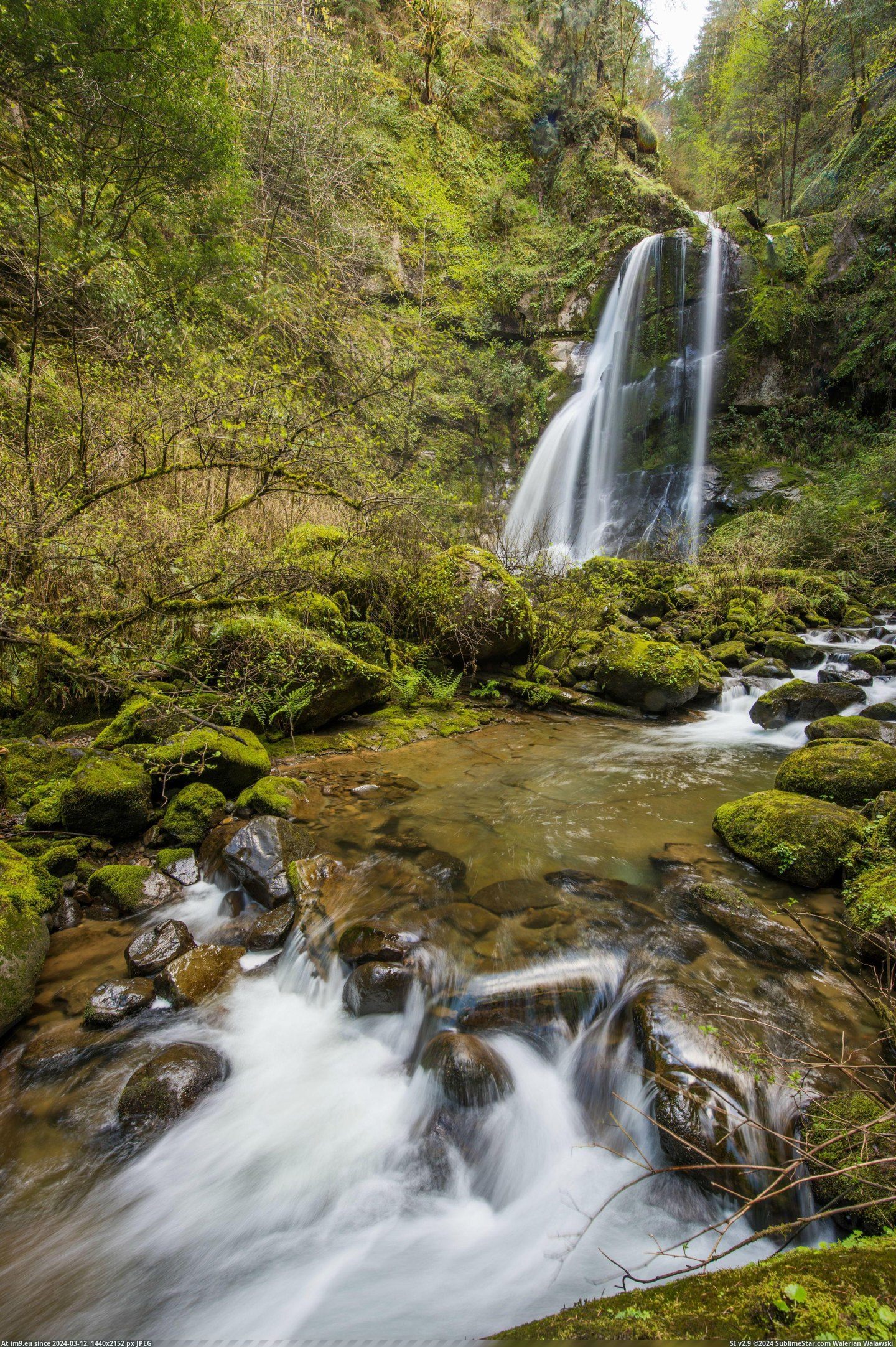 #Falls #Creek #Elk #Oregon [Earthporn] OC - Elk Creek Falls, Oregon [4661x6984] Pic. (Image of album My r/EARTHPORN favs))