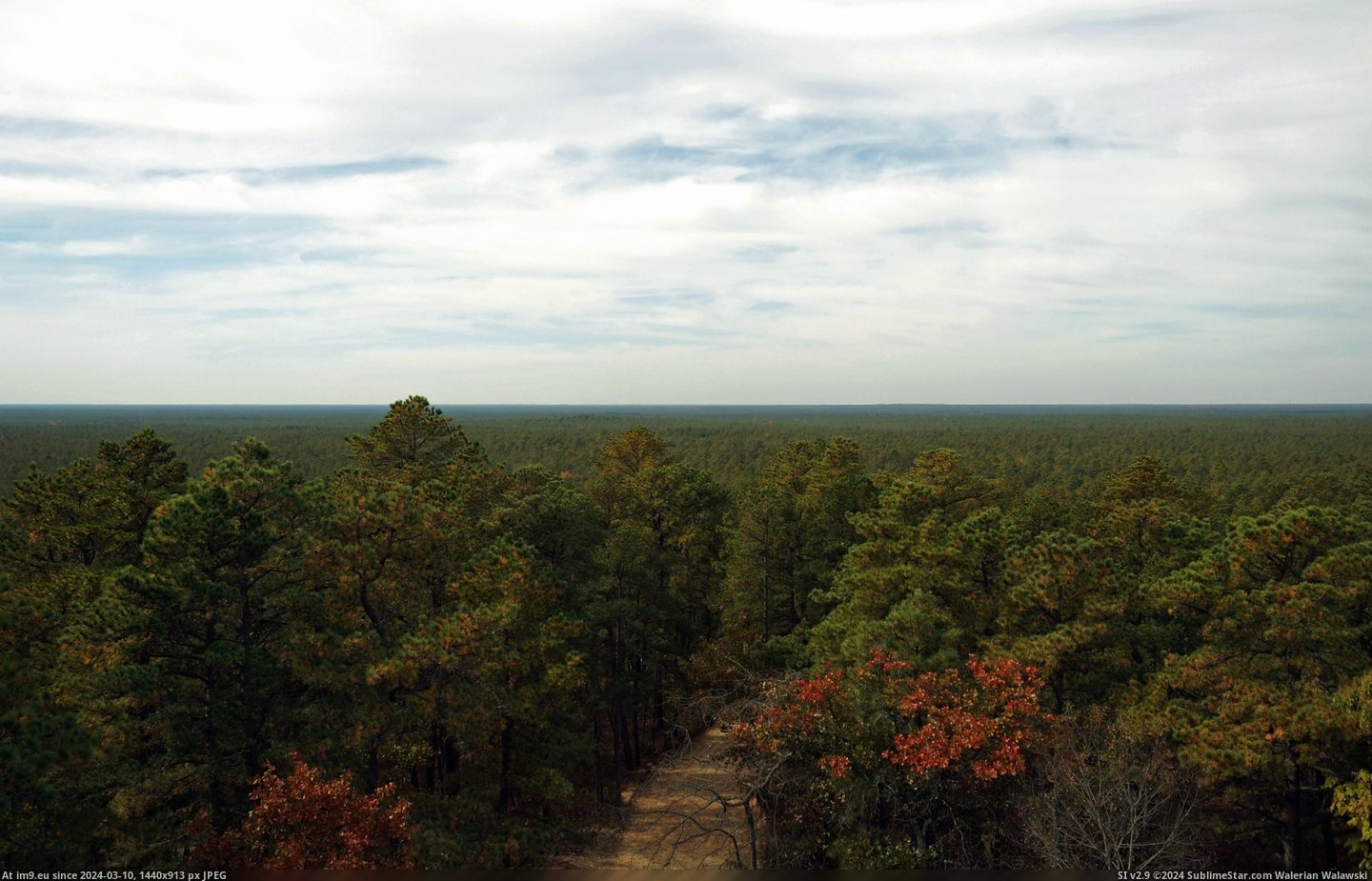 #Fire #Tower #Apple #Pine #Endless #Barrens #Hill #Pie #Jersey [Earthporn] [OC] Endless pine barrens, from the Apple Pie Hill fire tower in New Jersey [2819 x 1800] Pic. (Obraz z album My r/EARTHPORN favs))