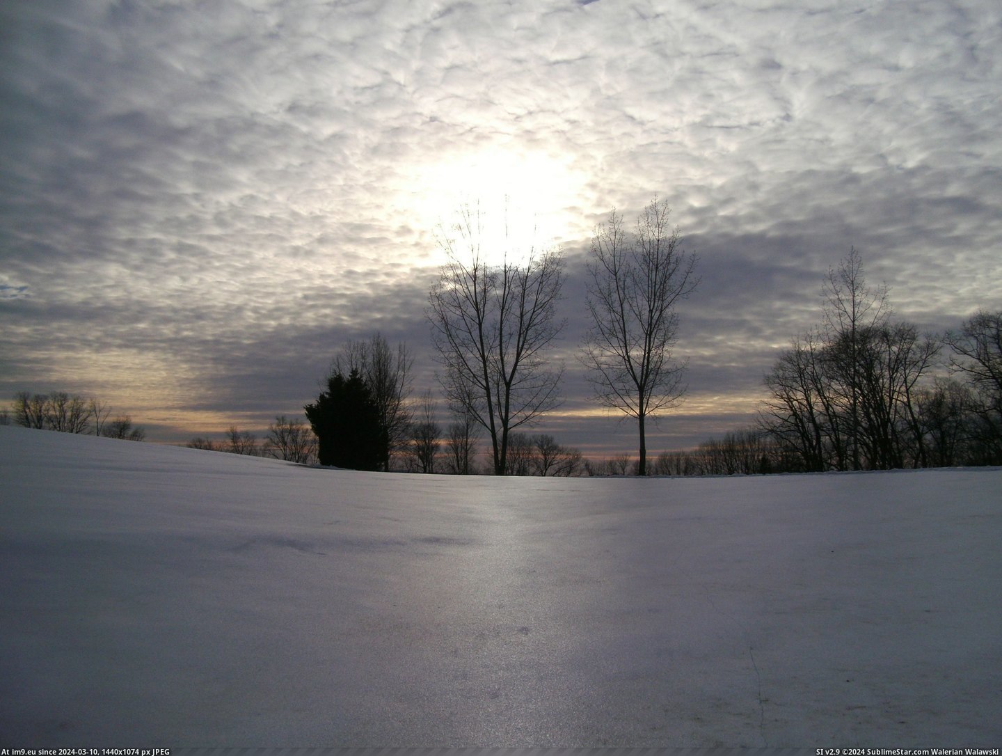 #Frozen #3648x2736 #Pennsylvania #Hill [Earthporn] On a Frozen Hill in Carlisle, Pennsylvania [3648x2736] Pic. (Изображение из альбом My r/EARTHPORN favs))