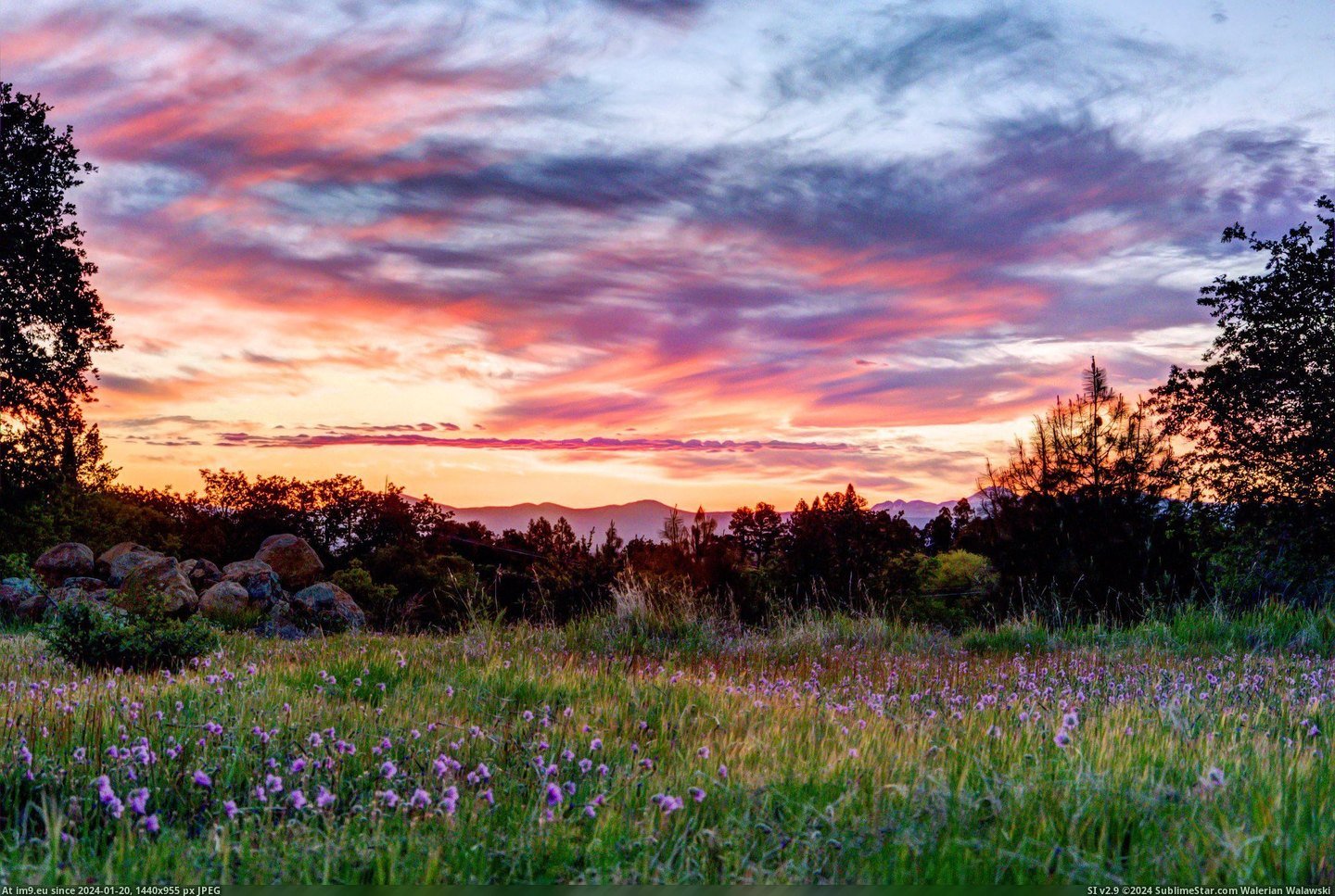 #One #Favorite #Backyard #Redding #California #Sunrise [Earthporn] One of my favorite sunrise pictures of my backyard in Redding California. [OC] [2048x1370] Pic. (Изображение из альбом My r/EARTHPORN favs))