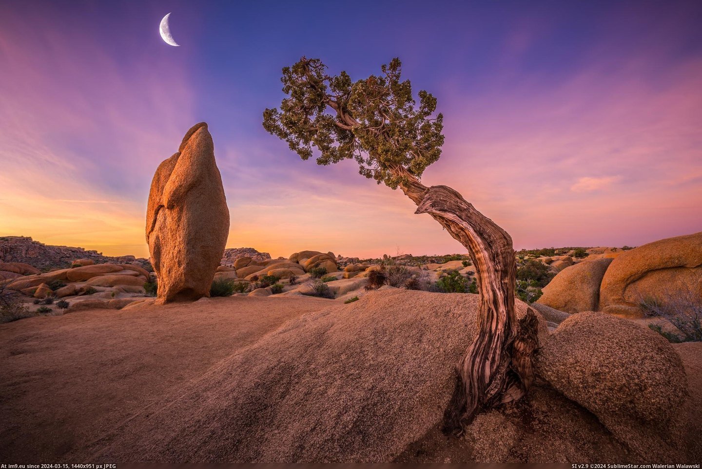 #Park #National #Tree #Rising #Paying #Moon #2048x1365 #Joshua [Earthporn]  Paying Reverence To The Rising Moon, Joshua Tree National Park [2048x1365] Pic. (Изображение из альбом My r/EARTHPORN favs))