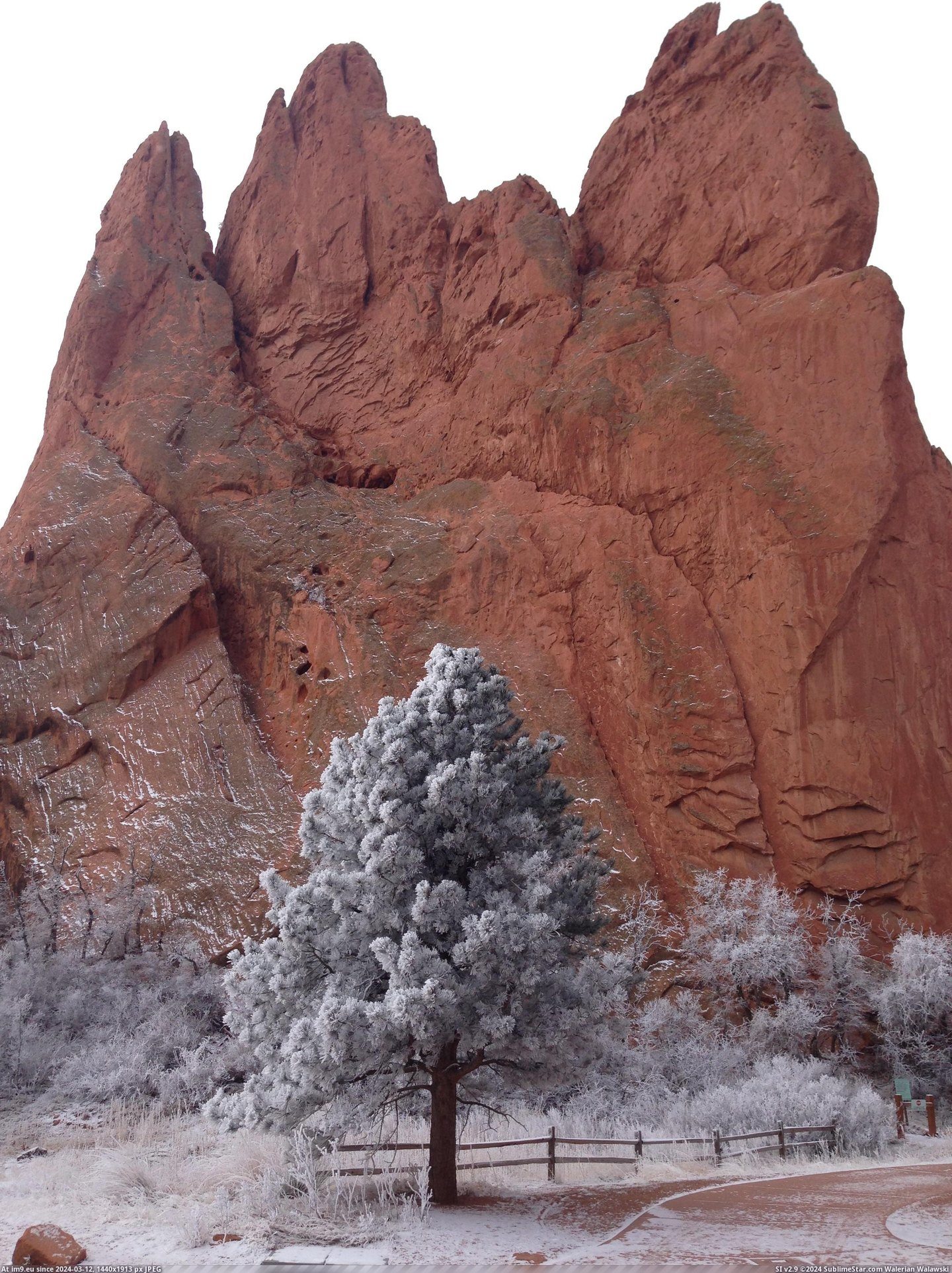 #Picture #February #Gods #Garden [Earthporn] Picture of the Garden of the Gods I took this February [2448 x 3264] Pic. (Image of album My r/EARTHPORN favs))