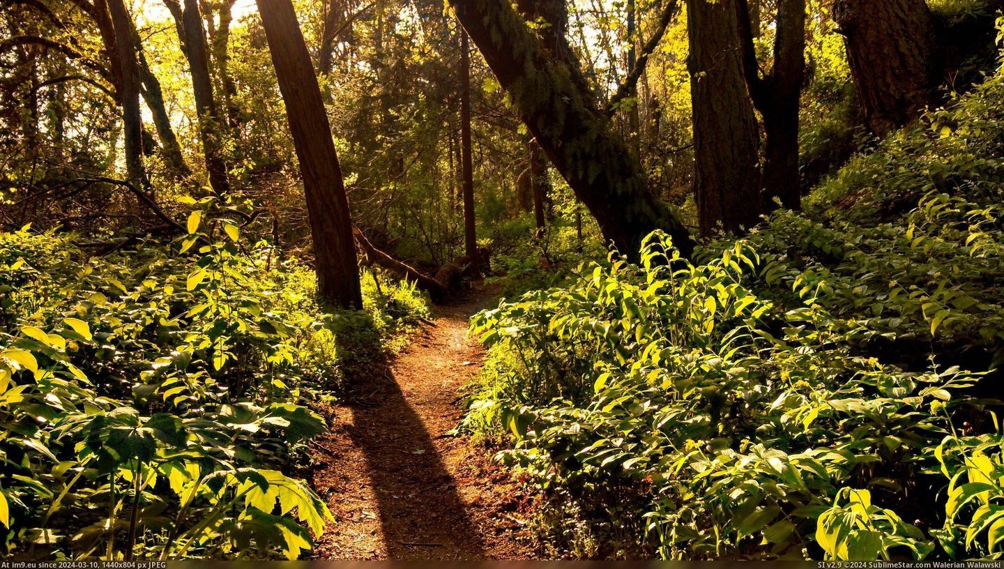 #Oregon #Trail #Eugene #Pre [Earthporn] Pre's Trail in Eugene, Oregon [OC] [2611x1469] Pic. (Obraz z album My r/EARTHPORN favs))