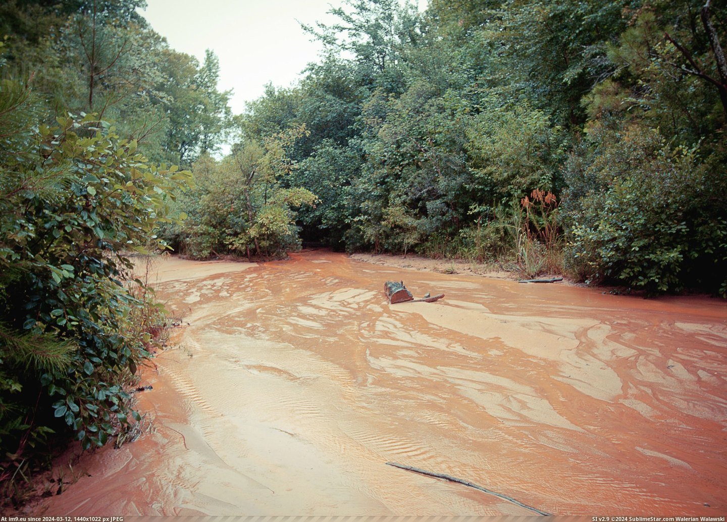 #Red #Canyon #Clay #Bottom #Mike [Earthporn] Red clay at the bottom of Providence Canyon, GA, by Mike Ensley  [2520x1800] Pic. (Image of album My r/EARTHPORN favs))