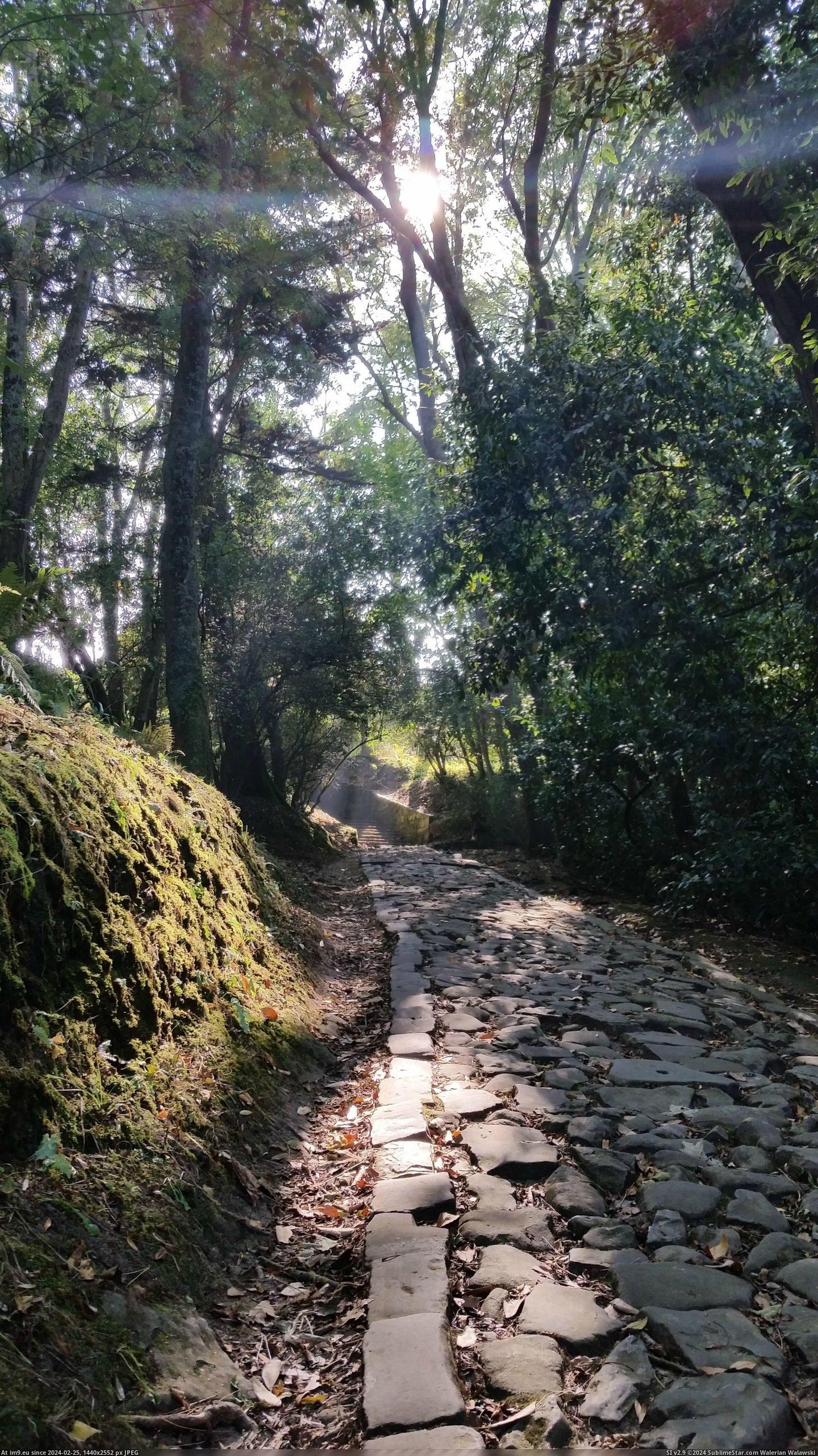 #Hope #San #Foot #Path #Rules #Sebastian #Sub #Spain #Fits [Earthporn] San Sebastian, Spain foot path [OC] [5312 x 2988] - hope it fits the Sub rules! Pic. (Изображение из альбом My r/EARTHPORN favs))