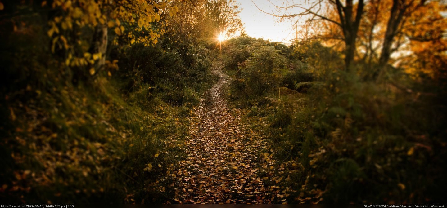 #Scotland  #Autumn [Earthporn] Scotland in autumn [4272x1969] Pic. (Image of album My r/EARTHPORN favs))