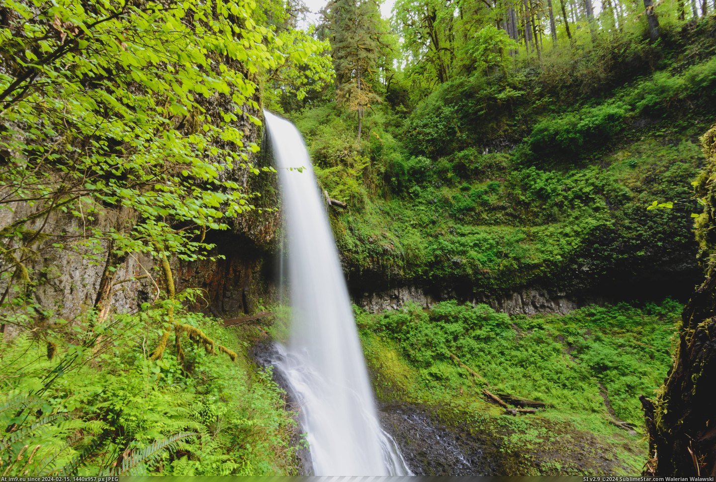 #Falls #Oregon #6000x4000 #Creek #Silver [Earthporn] Silver Creek Falls. Oregon.  [6000x4000] Pic. (Obraz z album My r/EARTHPORN favs))