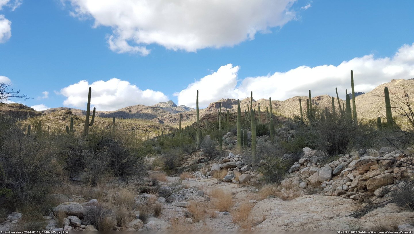 #Canyon #Tucson #3264x1836 [Earthporn] Somewhere in Sabino Canyon, Tucson, AZ.  [3264x1836] Pic. (Obraz z album My r/EARTHPORN favs))