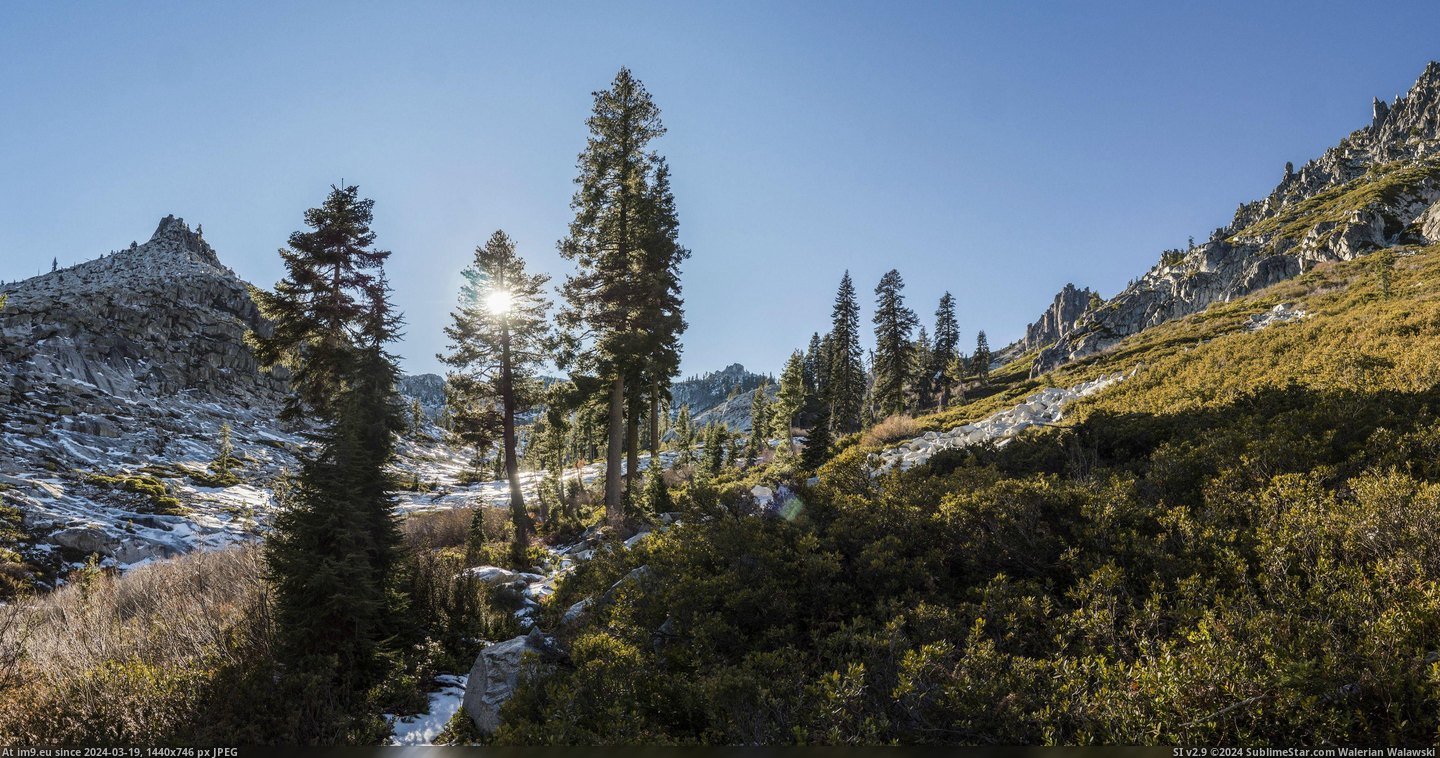 #California #Sun #Alps #Trinity #Shining #Trees #Northern [Earthporn] Sun shining through the trees in the Trinity Alps of Northern California. [OC] [3600 x 1877] Pic. (Image of album My r/EARTHPORN favs))