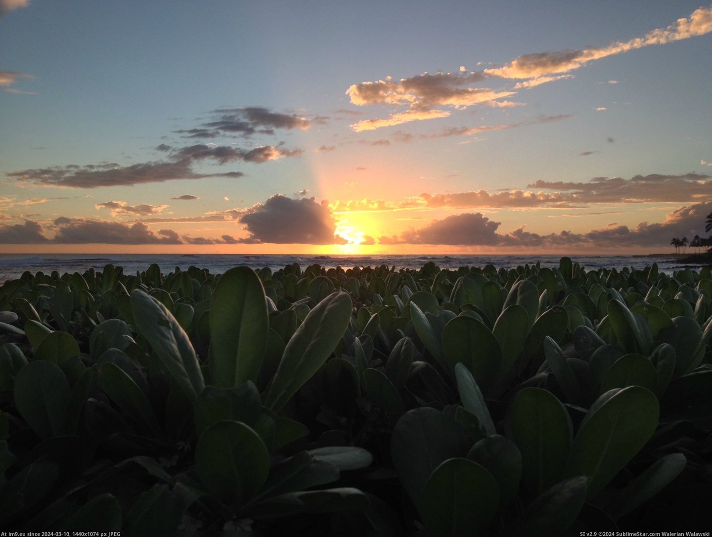 #Sunset #Kauai #Hawaii [Earthporn] Sunset in Kauai - Hawaii [3264 × 2448][OC] Pic. (Image of album My r/EARTHPORN favs))