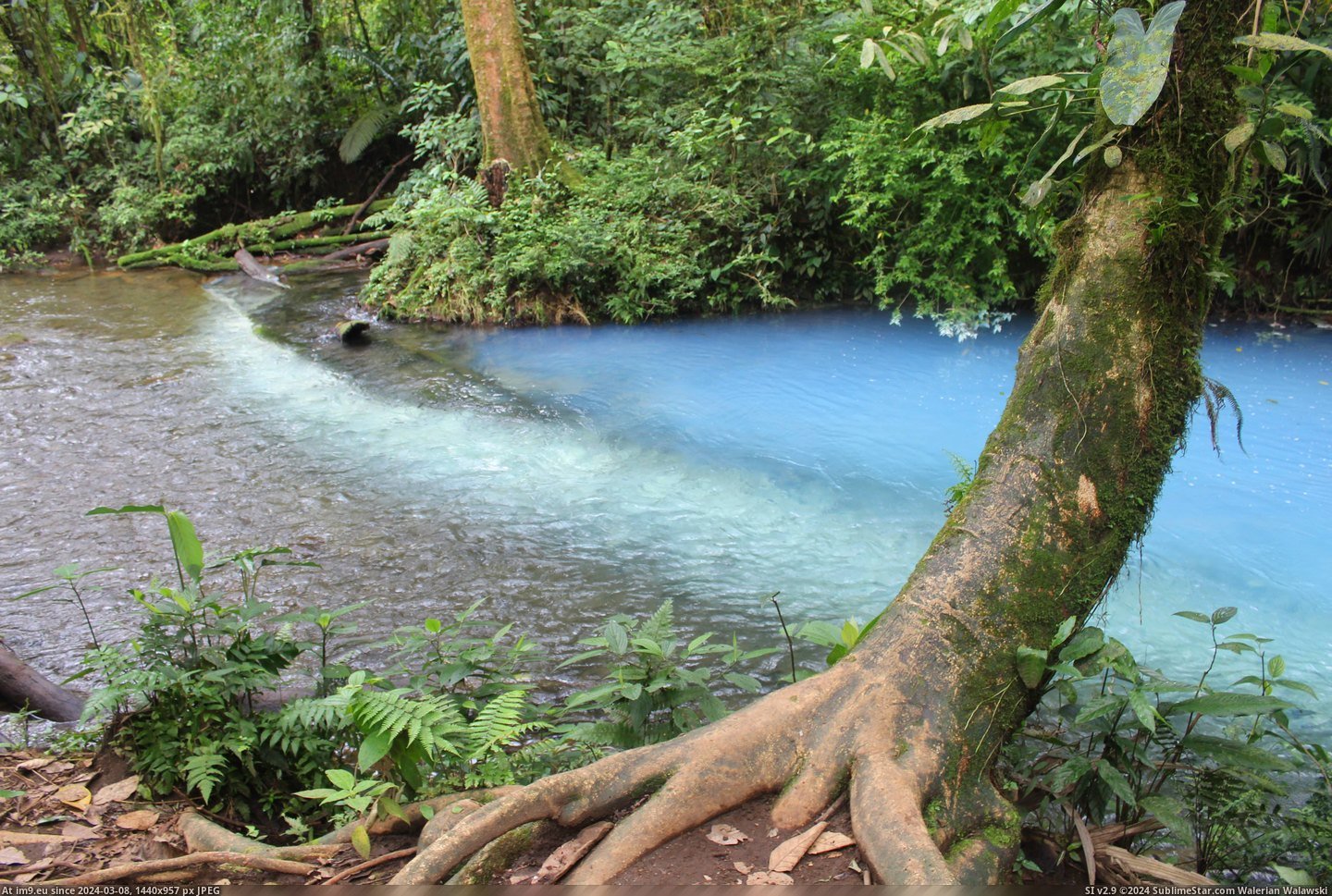 #5184x3456 #Rio #Costa #Celeste #Birthplace #Rica #Waters #Unbelievable [Earthporn] The birthplace of the unbelievable waters of the Rio Celeste, Costa Rica  [5184x3456] Pic. (Obraz z album My r/EARTHPORN favs))