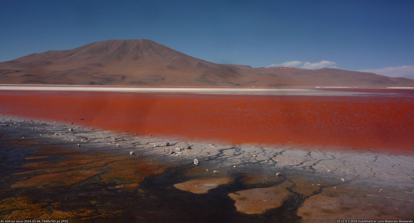 #Colours #Bolivia #Otherworldly #Laguna #Colorada [Earthporn] The otherworldly colours of Laguna Colorada, Bolivia [OC] [3648 × 1950] Pic. (Image of album My r/EARTHPORN favs))