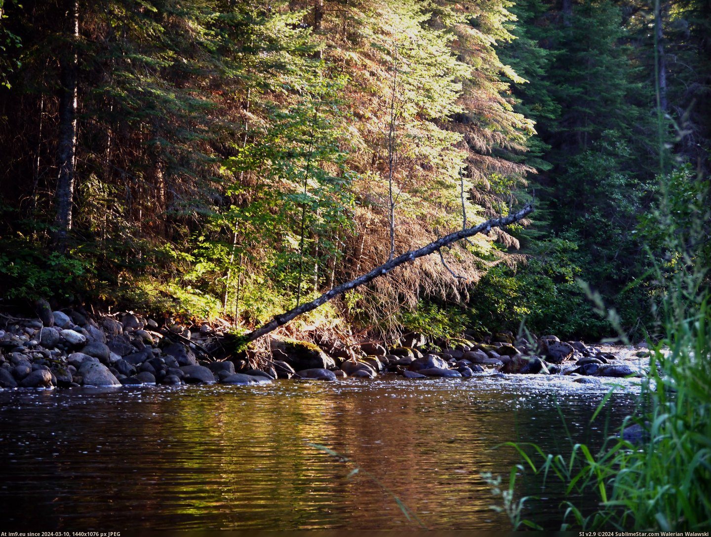 #River #Pine #Manitoba #4000x3000 [Earthporn] The river they call The Pine, Manitoba [4000x3000] [OC] Pic. (Bild von album My r/EARTHPORN favs))