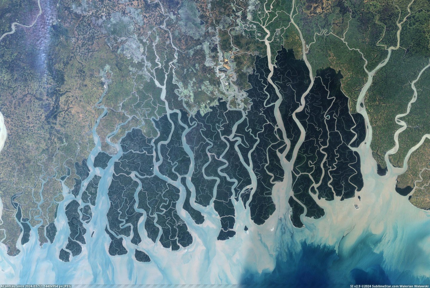 #Dark #Green #Bangladesh #2880x1920 #Sundarbans #Area #Reserve [Earthporn] The Sundarbans, Bangladesh. The dark green area is a reserve [2880x1920] Pic. (Obraz z album My r/EARTHPORN favs))