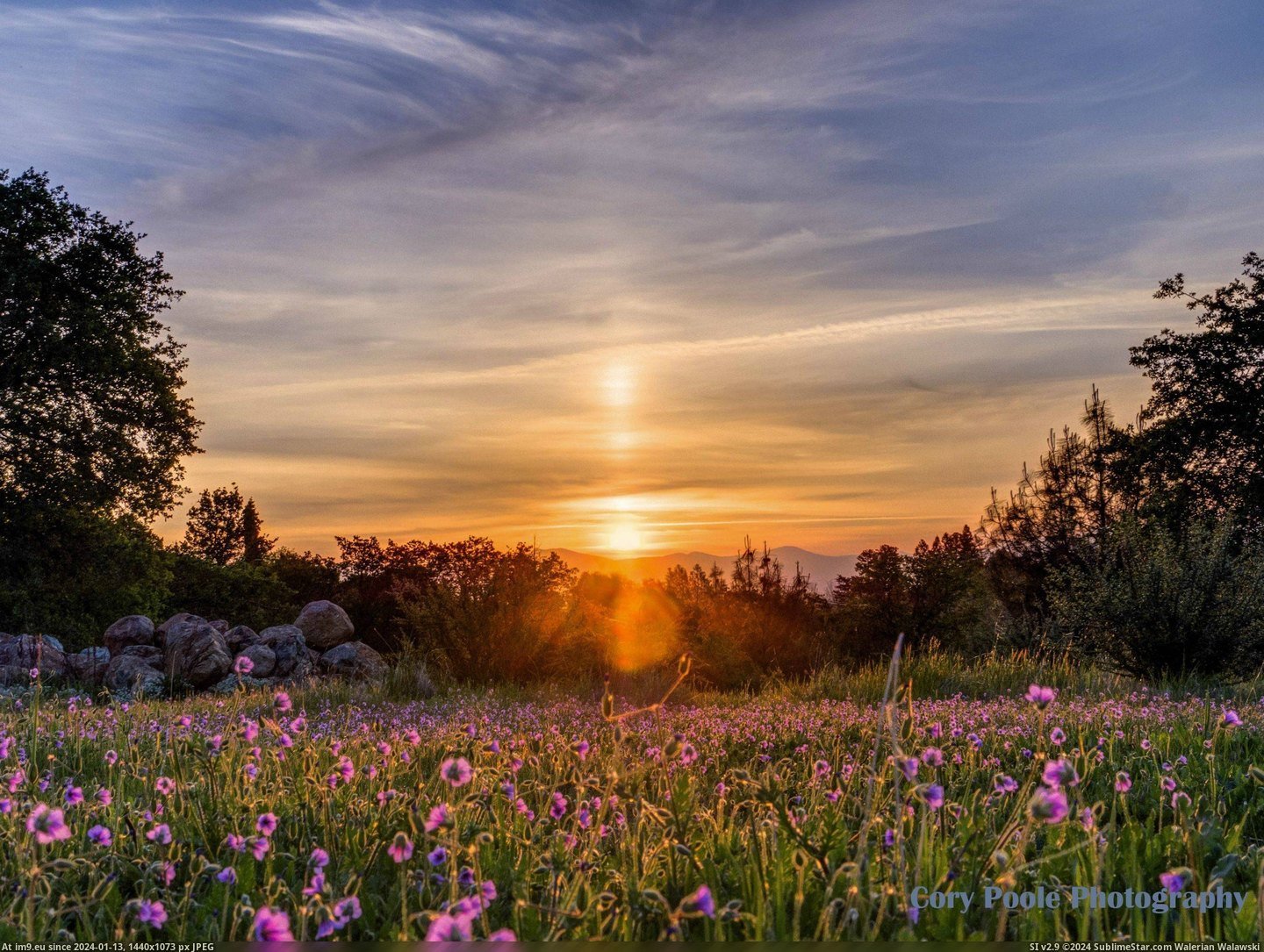 #Morning #California #Backyard #Pillar #Redding #Sun #Sunrise [Earthporn] This morning's sunrise with sun pillar from my backyard in Redding California. [OC] [3000 x 2250] Pic. (Obraz z album My r/EARTHPORN favs))
