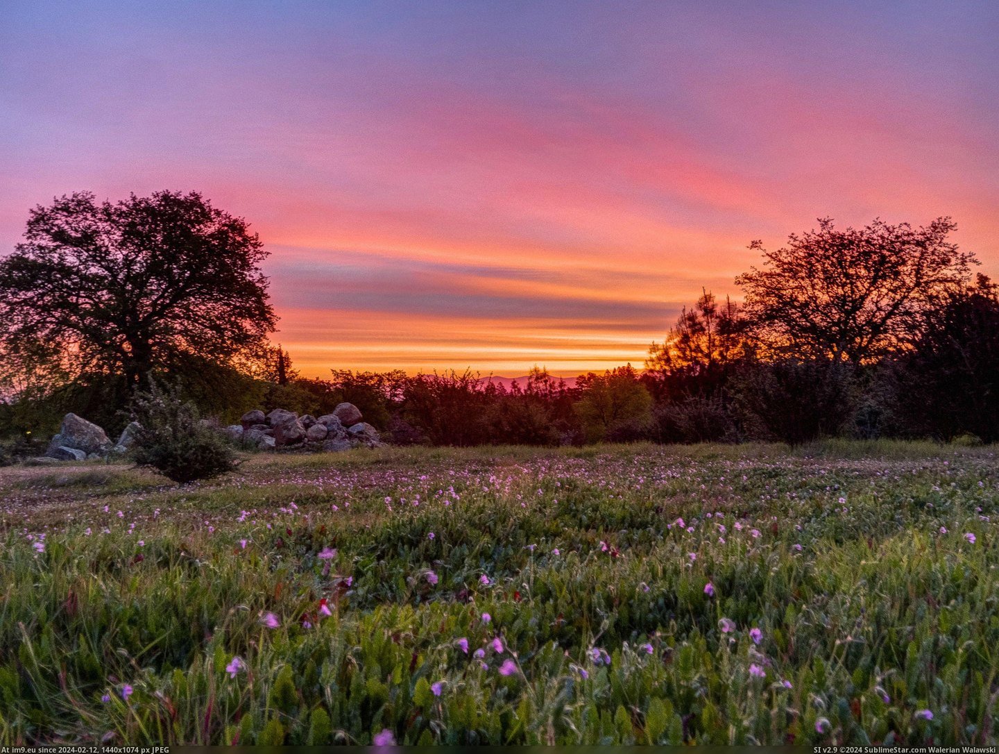 #California #Sunrise #3000x2250 #Redding #Backyard #March [Earthporn] Today's (March 10, 2015) sunrise from my backyard in Redding California. [3000x2250] Pic. (Obraz z album My r/EARTHPORN favs))