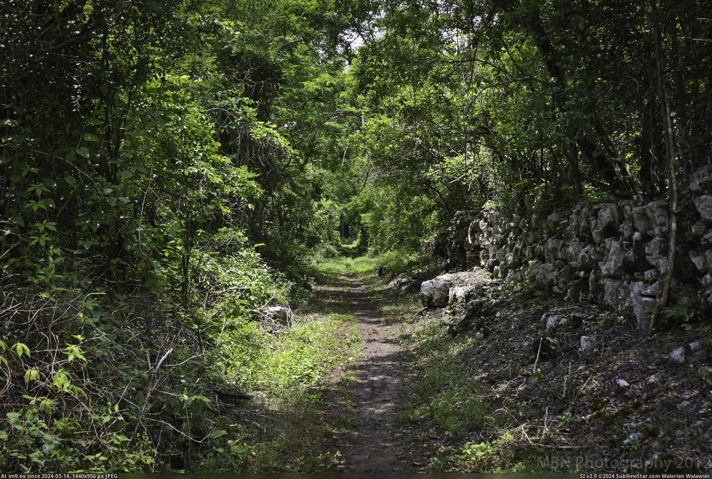 #Trail #Yucatan #Yunku #4752x3168 [Earthporn] Trail near Yunku in the Yucatan [4752x3168] [OC] Pic. (Изображение из альбом My r/EARTHPORN favs))