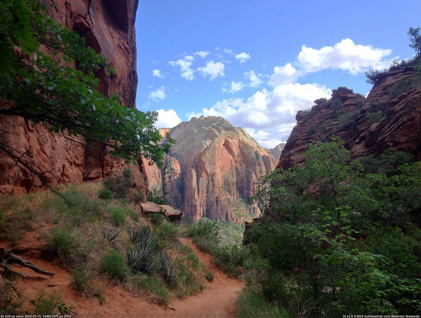 #Park #National #Utah #Zion #Trusty #3264x2448 #Iphone [Earthporn] trusty iPhone at Zion's National Park, Utah [3264x2448] [oc] Pic. (Image of album My r/EARTHPORN favs))