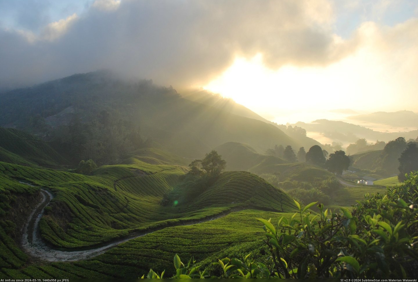 #Sunrise #Cameron #Unedited #Highlands #Malaysia [Earthporn] Unedited sunrise in the Cameron Highlands of Malaysia [OC] [3872 x 2592] Pic. (Bild von album My r/EARTHPORN favs))