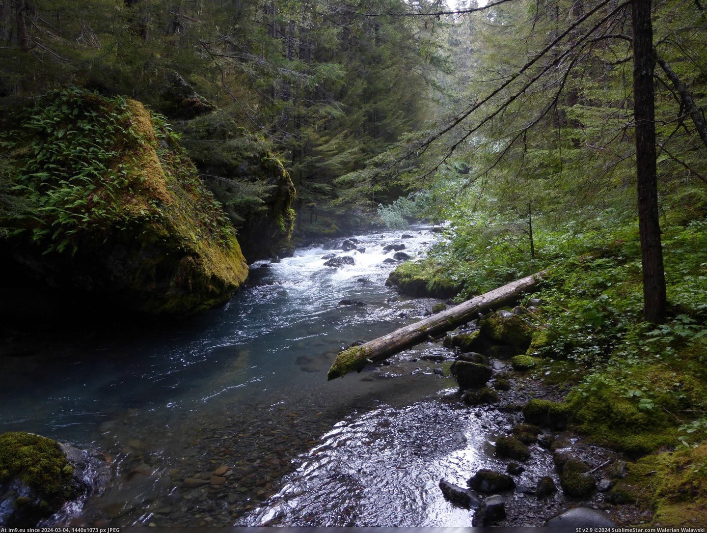 #National #River #Forest #2304x1728 #Dungeness #Washington #Upper #Olympic [Earthporn] Upper Dungeness River, Olympic National Forest, Washington, US [2304x1728] [OC] Pic. (Obraz z album My r/EARTHPORN favs))