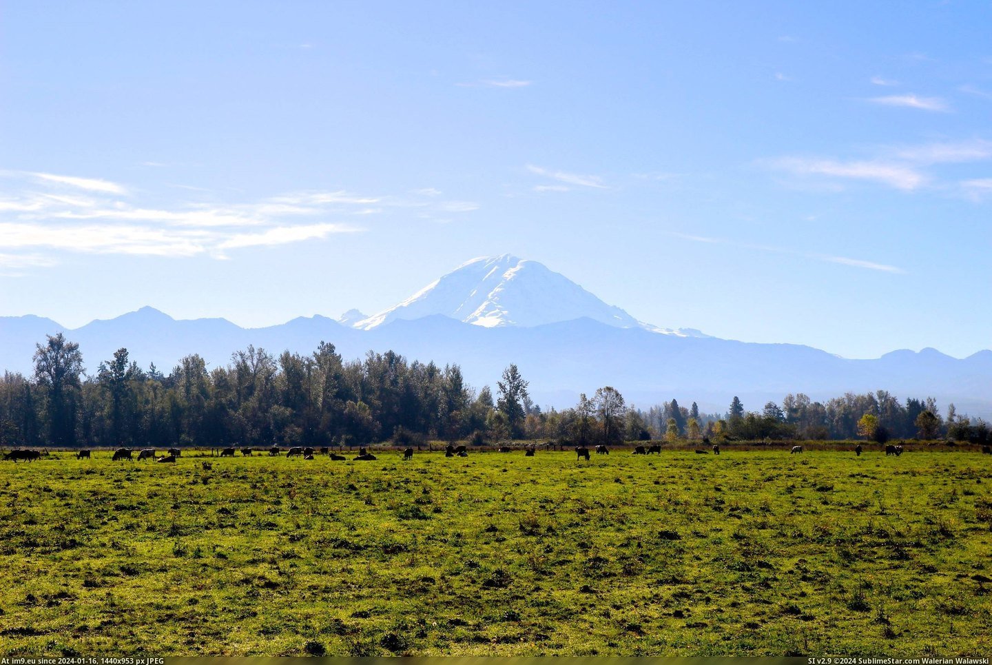 #Mount #Countryside #Rainier [Earthporn] View of Mount Rainier from the countryside [OC] [2592 x 1728] Pic. (Image of album My r/EARTHPORN favs))