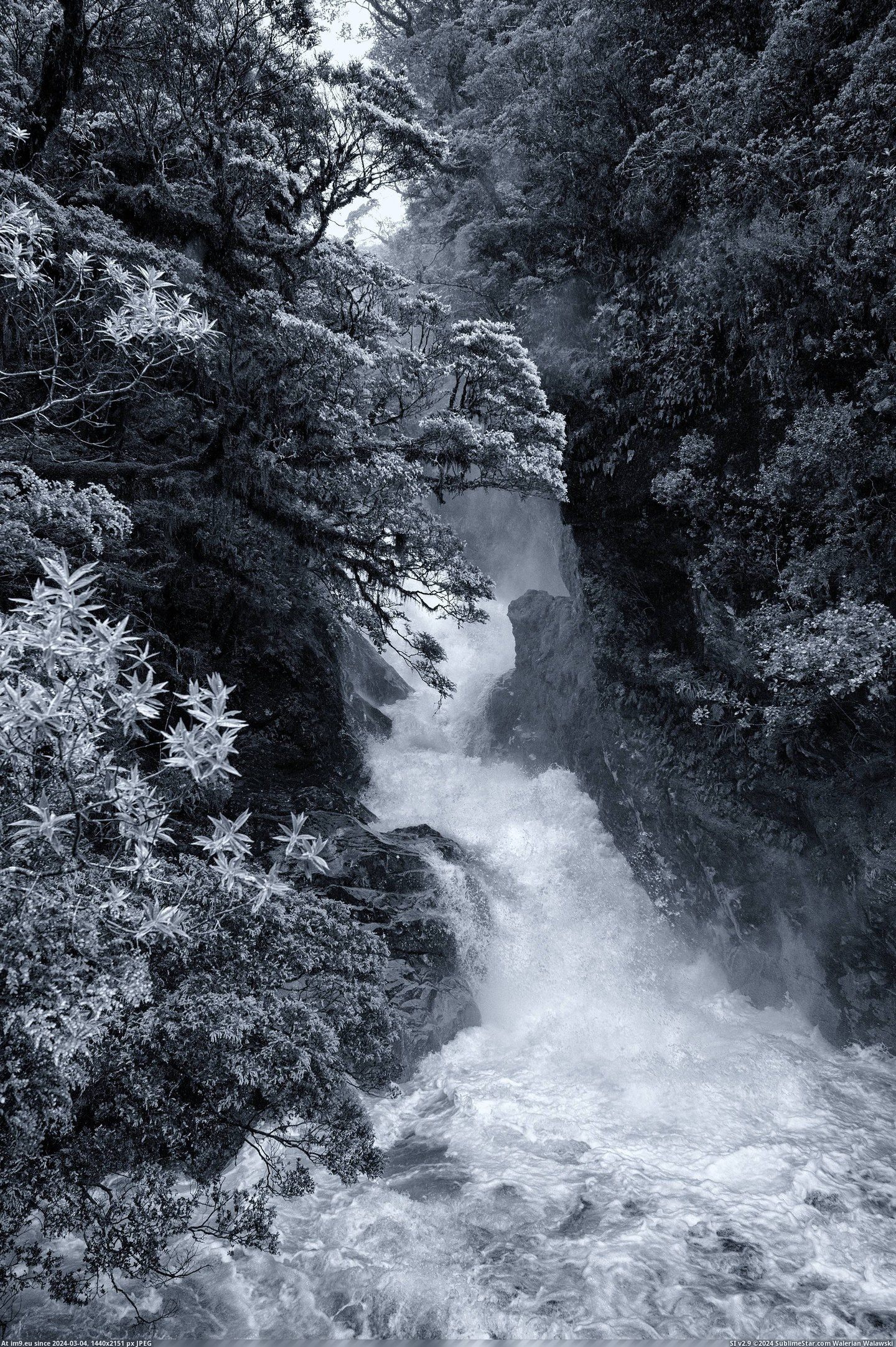 #Color #Sound #Milford #Intense #Waterfalls [Earthporn] Waterfalls Intense BW&Color, Milford Sound NZ [OC][2456x3680] Pic. (Obraz z album My r/EARTHPORN favs))
