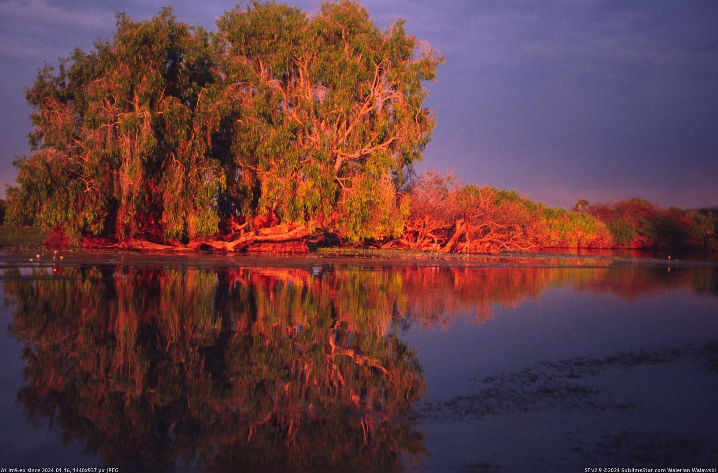 #Park #National #Water #Territory #Lagoon #Kakadu #Australia #Northern #Yellow [Earthporn] Yellow Water Lagoon, Kakadu National Park, Northern Territory, Australia. [6952 × 4544] [OC] Pic. (Изображение из альбом My r/EARTHPORN favs))