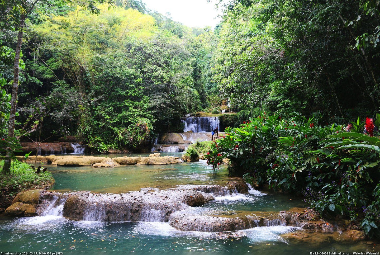 #Falls #5472x3648 #Jamaica #Instagram [Earthporn] YS Falls, Jamaica [5472x3648] Taken by me (@treeswithbenefits on Instagram) Pic. (Image of album My r/EARTHPORN favs))