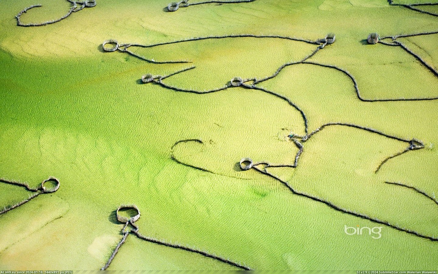 Fish traps in Kosi Bay, South Africa (in Bing Photos November 2012)
