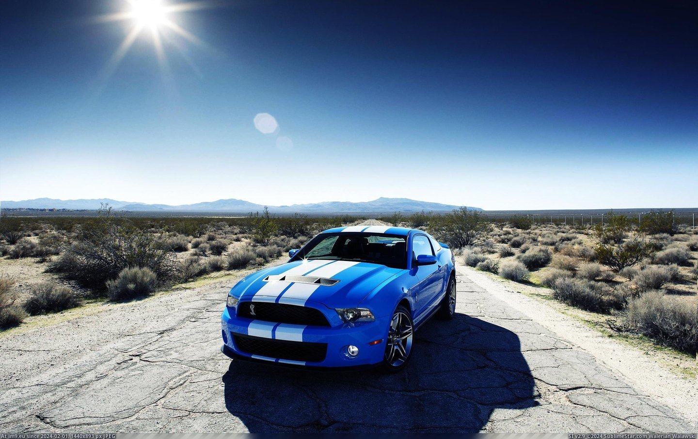 #Wallpaper #Wide #Ford #Gt500 #Car #Shelby Ford Shelby Gt500 Car Wide HD Wallpaper Pic. (Изображение из альбом Unique HD Wallpapers))